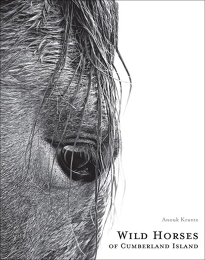 Wild Horses of Cumberland Island, Anouk Masson Krantz - Gebonden - 9781864708851