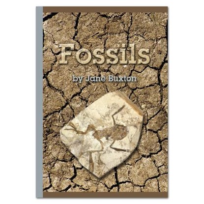 Fossils, Jane Buxton - Paperback - 9781869743604