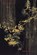 Maggi Hambling, James Cahill ; Sam Lee - Gebonden - 9781869827663