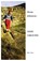 Safe Ground, Rosie Johnston - Paperback - 9781869848408