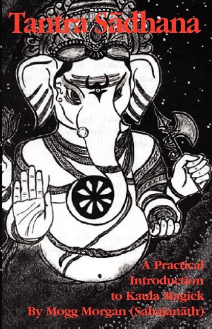 Tantra Sadhana, Mogg Morgan - Paperback - 9781869928421
