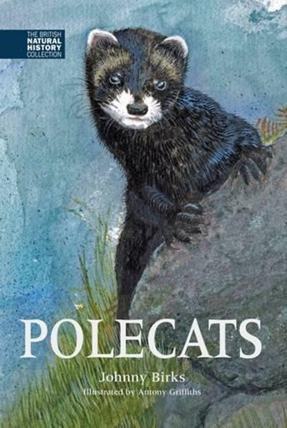 Polecats, Johnny Birks - Gebonden - 9781873580981