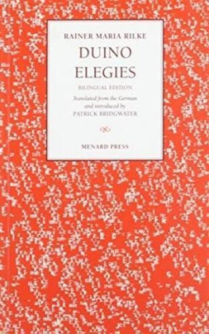 Duino Elegies, Rainer Rilke - Paperback - 9781874320265