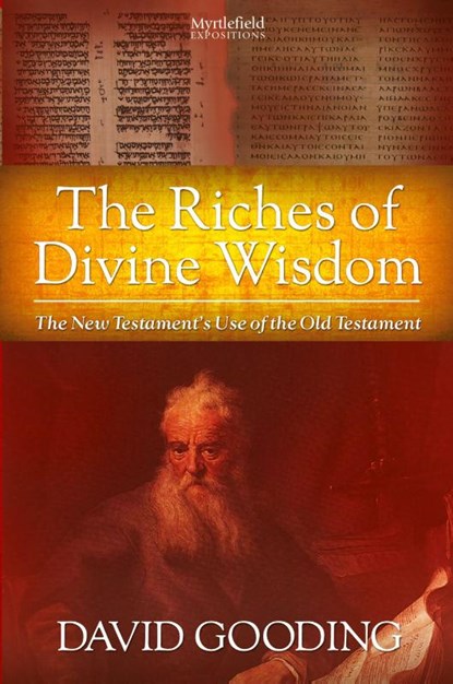The Riches of Divine Wisdom, David W Gooding - Paperback - 9781874584216