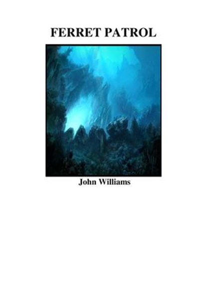Ferret Patrol, John Williams - Ebook - 9781876107543