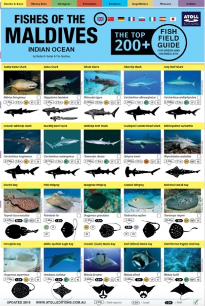 Maldives Fish Field Guide "Top 200+", Tim Godfrey ; Rudie Kuiter - Gebonden - 9781876410087
