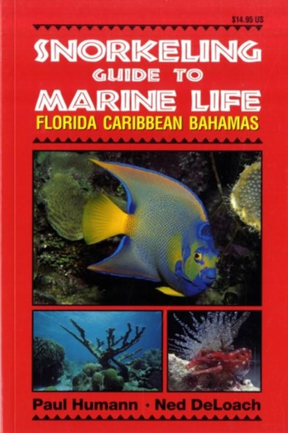 Snorkeling Guide to Marine Life, Paul Humann ; Ned DeLoach - Paperback - 9781878348104