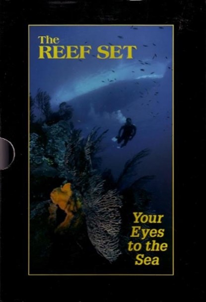 Reef Set, Paul Humann ; Ned DeLoach - Paperback - 9781878348333