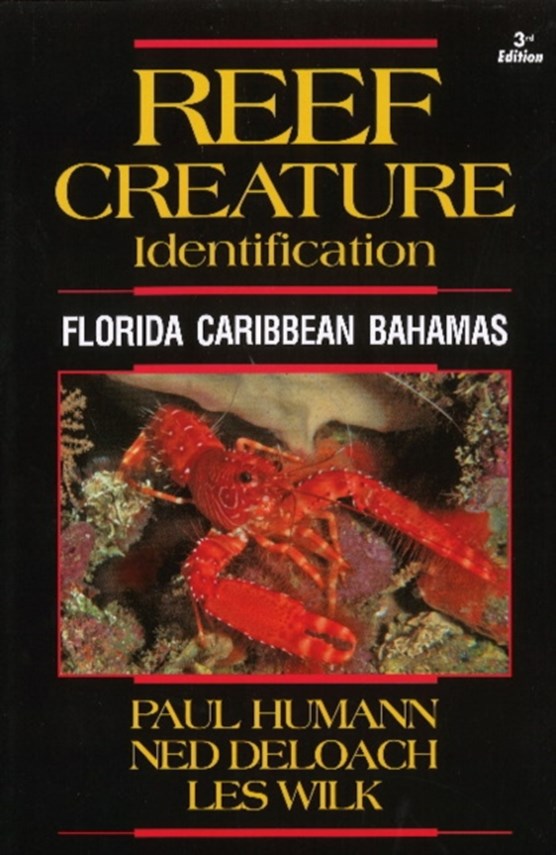 Reef Creature Identification