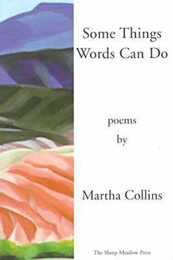 Some Things Words Can Do [Includes A History of Small Life on a Windy Planet, orig. pub. in 1993]