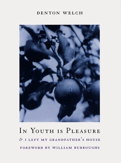 In Youth Is Pleasure, Denton Welch - Paperback - 9781878972132