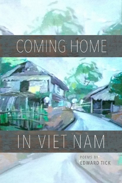 Coming Home in Viet Nam, Edward Tick - Paperback - 9781882688609
