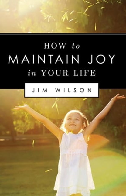 How to Maintain Joy in Your Life, Jim Wilson - Ebook - 9781882840601