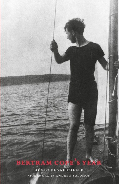 Bertram Cope's Year, Henry Blake Fuller - Paperback - 9781885983268