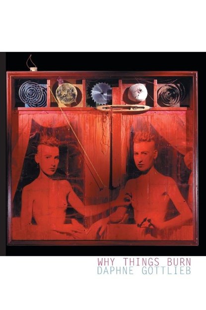 Why Things Burn, Daphne Gottlieb - Paperback - 9781887128650