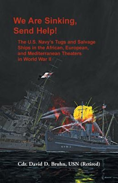 We are Sinking, Send Help!, BRUHN,  David D - Paperback - 9781888265484