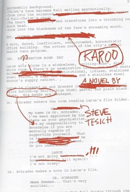 Karoo, Steve Tesich - Paperback - 9781890447373