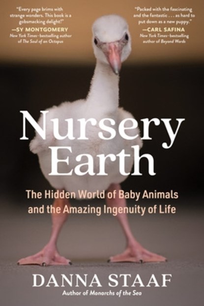 Nursery Earth, Danna Staaf - Paperback - 9781891011719