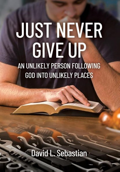 Just Never Give Up, David L. Sebastian - Paperback - 9781891314223