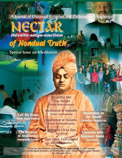 Nectar of Non-Dual Truth #33, Babaji Bob Kindler ; Rabbi Rami Shapiro ; Lex Hixon - Paperback - 9781891893247
