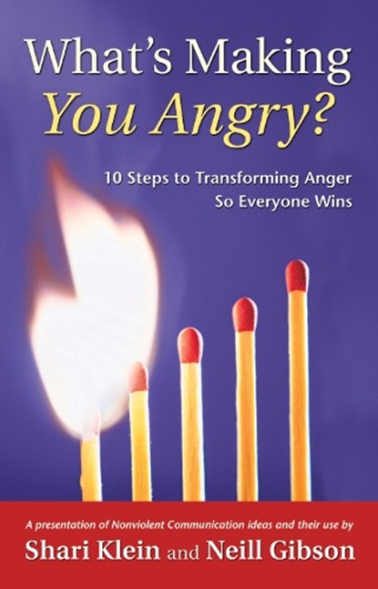 What's Making You Angry?, Shari Klein ; Neill Gibson - Paperback - 9781892005137