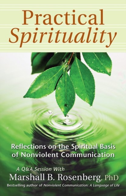 Practical Spirituality, MARSHALL B.,  PhD Rosenberg - Paperback - 9781892005144
