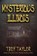 Mysterious Illinois, Troy Taylor - Paperback - 9781892523433