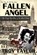 Fallen Angel, Troy Taylor - Paperback - 9781892523846
