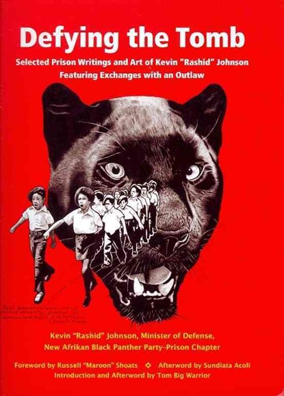 Defying the Tomb, Kevin Rashid Johnson - Paperback - 9781894946391