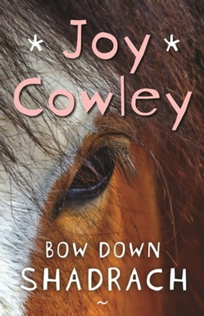 Bow Down Shadrach, Joy Cowley - Ebook - 9781897136775