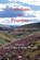 Freedom to Practise, Keith Tudor ; Mike Worrall - Paperback - 9781898059592