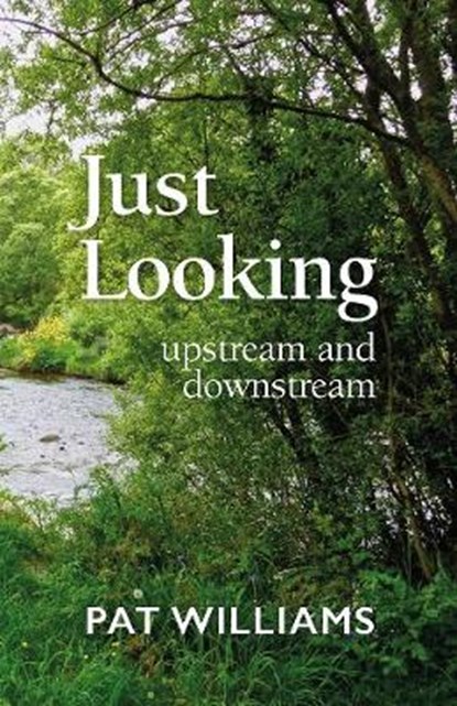 Just Looking, Pat Williams - Paperback - 9781899398140