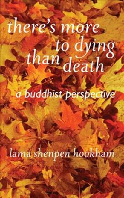 There's More to Dying Than Death: A Buddhist Perspective, Lama Shenpen Hookman - Paperback - 9781899579686