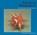 Advanced Polyhedra 2, Gerald Jenkins ; Magdalen Bear - Paperback - 9781899618620
