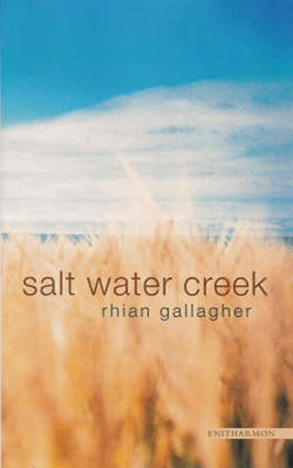 Salt Water Creek, Rhian Gallagher - Paperback - 9781900564380