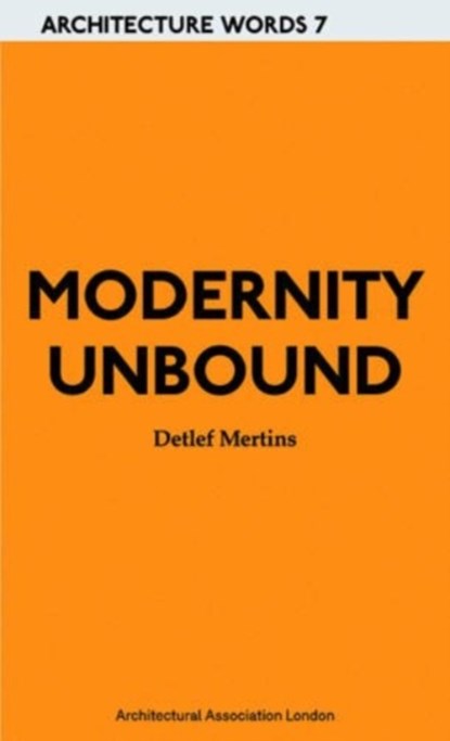 Modernity Unbound, Detlef Mertins - Paperback - 9781902902890