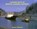 Looking Back at Bristol Channel Shipping, Andrew Wiltshire - Gebonden - 9781902953465