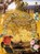 This Infant Adventure, Christian Lamb - Gebonden - 9781903071298