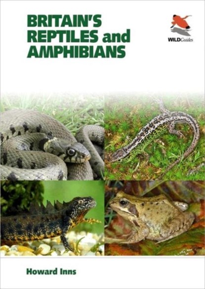 Britain`s Reptiles and Amphibians, Howard Inns ; Chris Packham - Paperback - 9781903657256