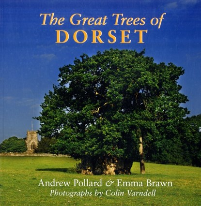 The Great Trees of Dorset, Andrew Pollard ; Emma Brawn - Paperback - 9781904349730