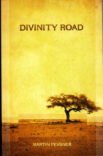 Divinity Road, Martin Pevsner - Paperback - 9781904955795