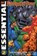 Essential Fantastic Four, LEE,  Stan - Paperback - 9781905239023