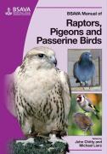 BSAVA Manual of Raptors, Pigeons and Passerine Birds, John Chitty ; Michael Lierz - Paperback - 9781905319046