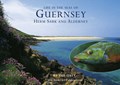 Sealife in Guernsey, Herm, Sark and Alderney | Chris Andrews ; Sue Daly | 