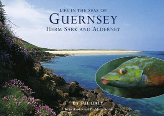 Sealife in Guernsey, Herm, Sark and Alderney