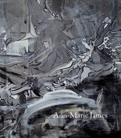 Ann-Marie James, Michael Bracewell - Paperback - 9781905464739
