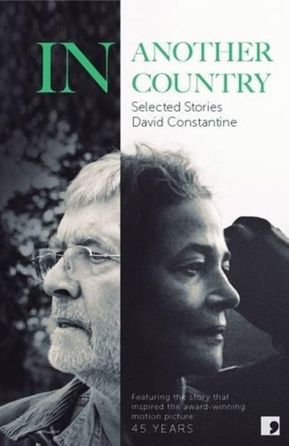 In Another Country, David Constantine - Paperback - 9781905583768