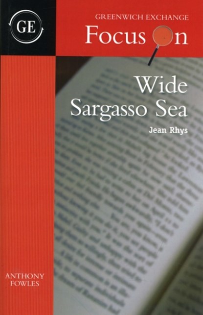 Wide Sargasso Sea by Jean Rhys, Anthony Fowles - Paperback - 9781906075347