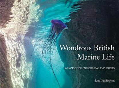 Wondrous British Marine Life, Dr Lou Luddington - Paperback - 9781906095703