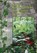 Nature Kindergartens and Forest Schools, Claire Warden - Paperback - 9781906116095